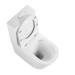 Унітаз Stork/Swan підлоговий Rimless White Qtap