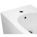 Біде Swan підвісне 520х360х320 White Qtap