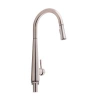 Змішувач для кухні Evicka з висувним виливом Brushed Nickel PVD Qtap