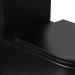 Унітаз Robin підлоговий Rimless Matt Black Qtap