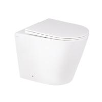Унітаз Swan підлоговий Rimless White Qtap