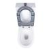 Унітаз підлоговий Freedom інклюзивний Rimless WHITE Qtap
