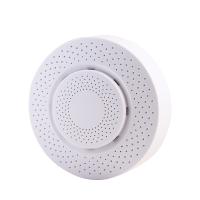 Датчик рівня чадного газу CO Tervix Pro Line Zigbee CO