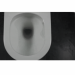 Qtap Swan унітаз підвісний Ultra Quiet сидіння Slim Duroplast/ Soft-close/ Quick relase 485х360х320 мм WHITE